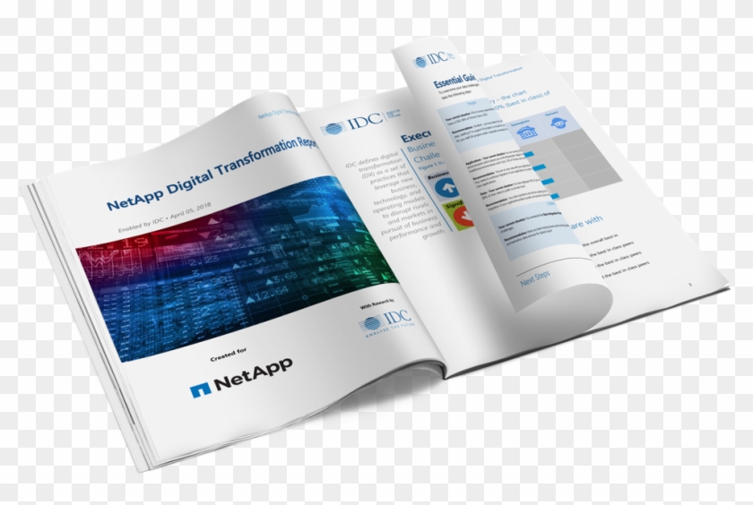 Netapp Digital Transformation Report - Graphic Design Clipart