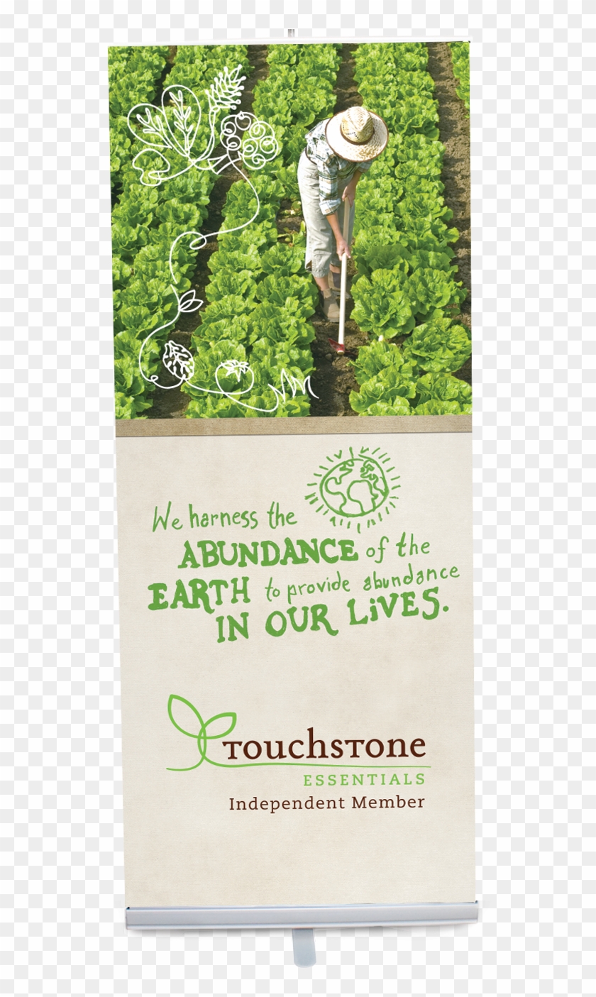 Touchstone Essentials Harvest Banner - Poster Clipart #5361583