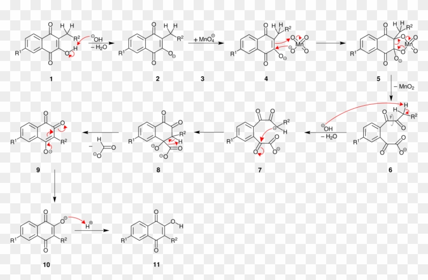 Hooker Oxidation Mechanismus-v6 - Gabriel Synthesis Mechanism Primary Amine Clipart #5361918