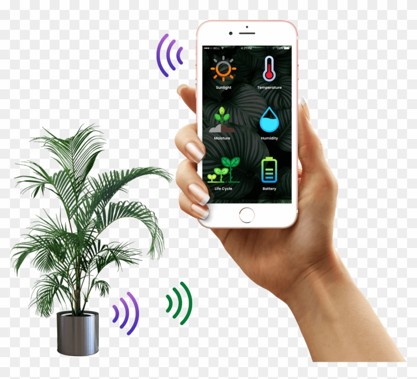 Iot Solutions For Farming - Plant In Pot Transparent Background Clipart #5364512
