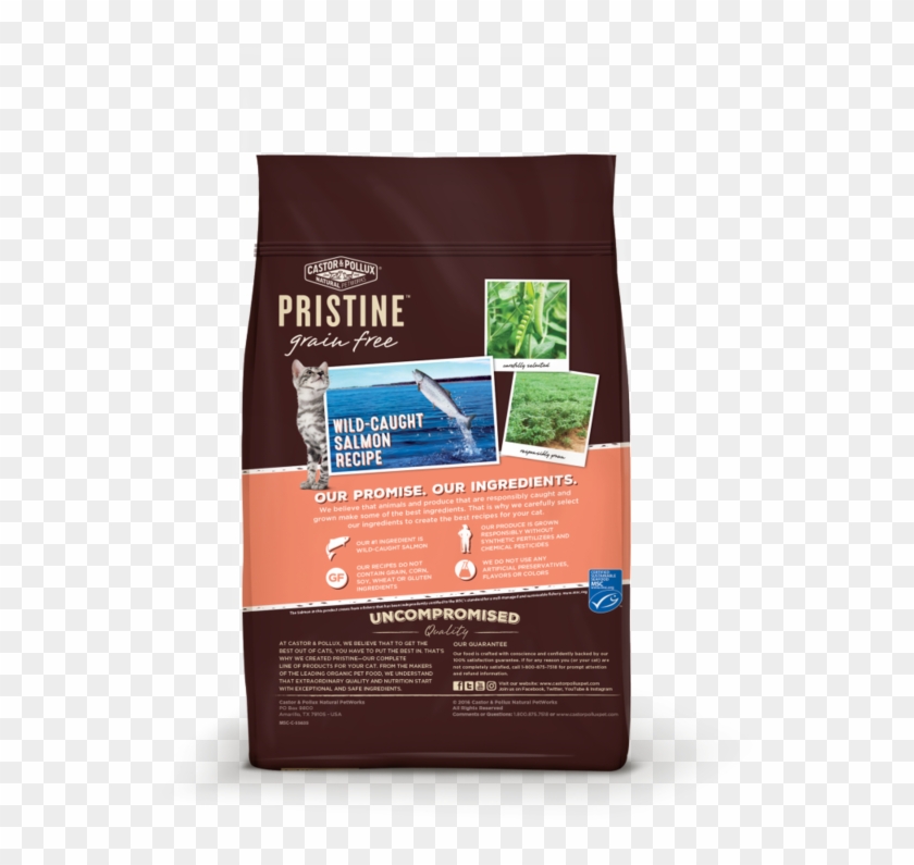 Castor And Pollux Pristine Grain Free Wild Caught Salmon - Salmon Clipart