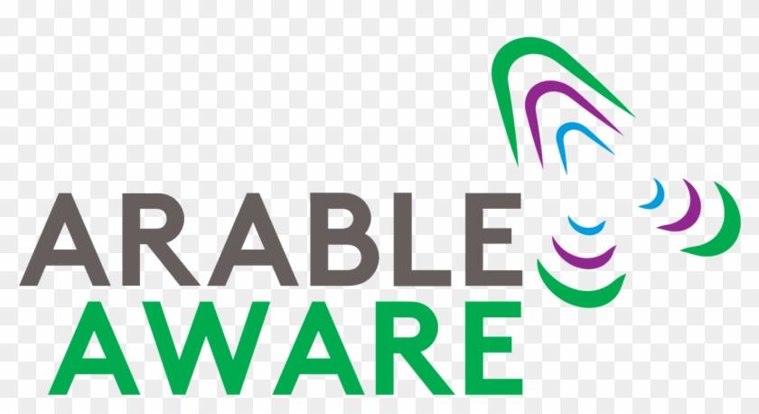 Graphic Design Clipart #5365118