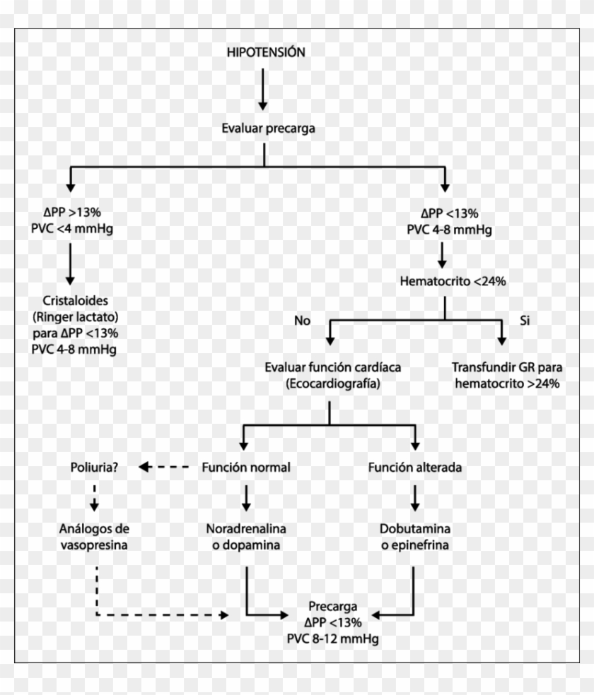 Esquema De Manejo De La Hipotensión Durante La Muerte - Manejo De La Hipotension Clipart