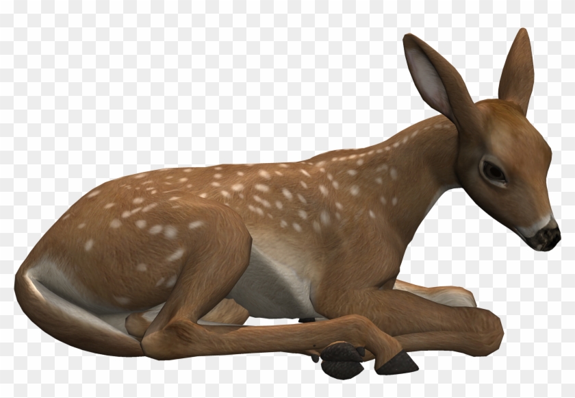 Go To Image - Deer Lying Down Png Clipart #5366157