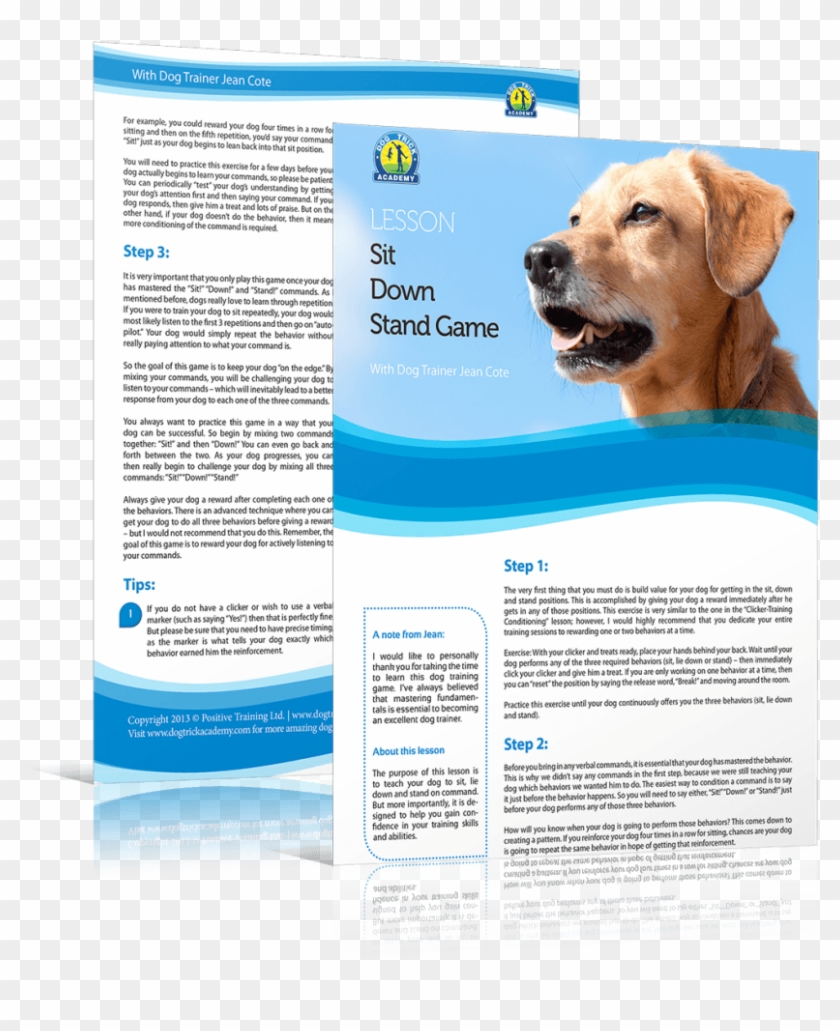 Follow Along This Lesson With Your Free Complimentary - Labrador Retriever Clipart