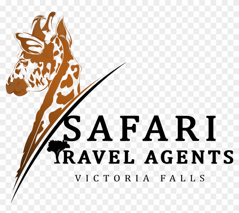 Current Conditions - Zebra Clipart #5367179