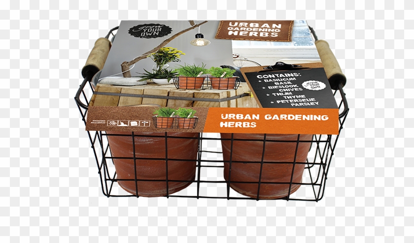 227891 Urban Gardening Herbs Per 4 - Gift Basket Clipart