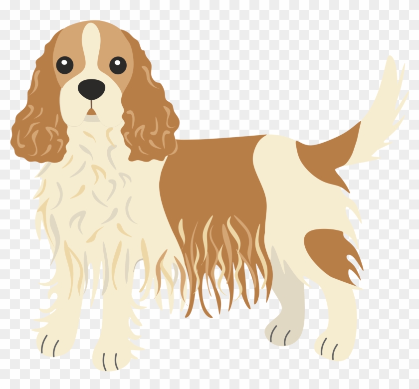 Cav Barks 6 Times Every Time He Sees The Mailman - English Cocker Spaniel Clipart