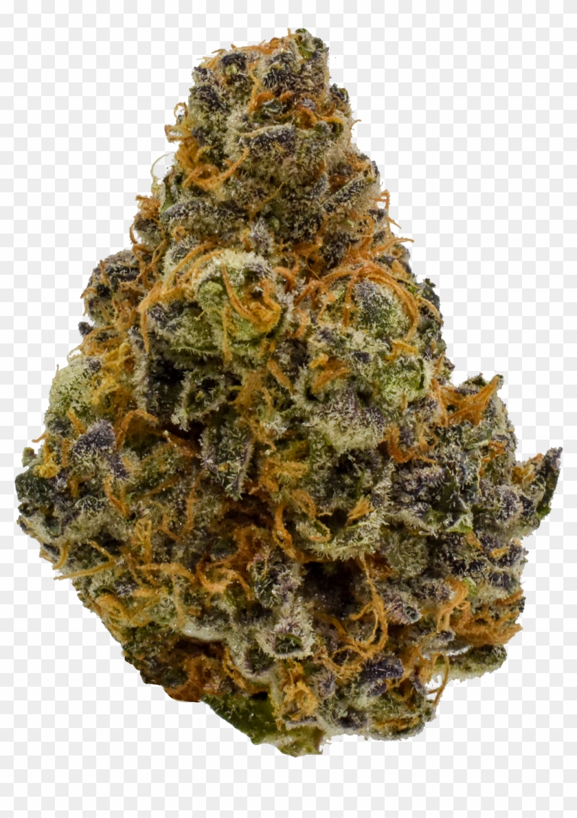 Candyland Png - Christmas Tree - Red Pine Clipart