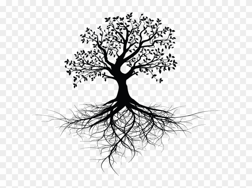 Tree With Roots Design - Black And White Ash Tree With Roots Clipart #5370540