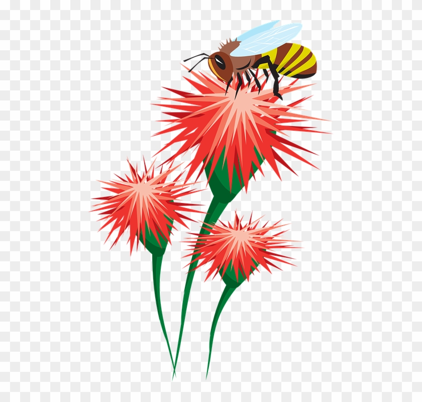 Abeja, Flores, Polinización, Polen, Recopilación - Bee In Flower Clipart - Png Download