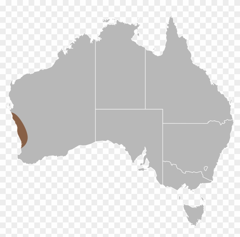 Javelin Lizard - Map Of Australia Png Clipart #5371201