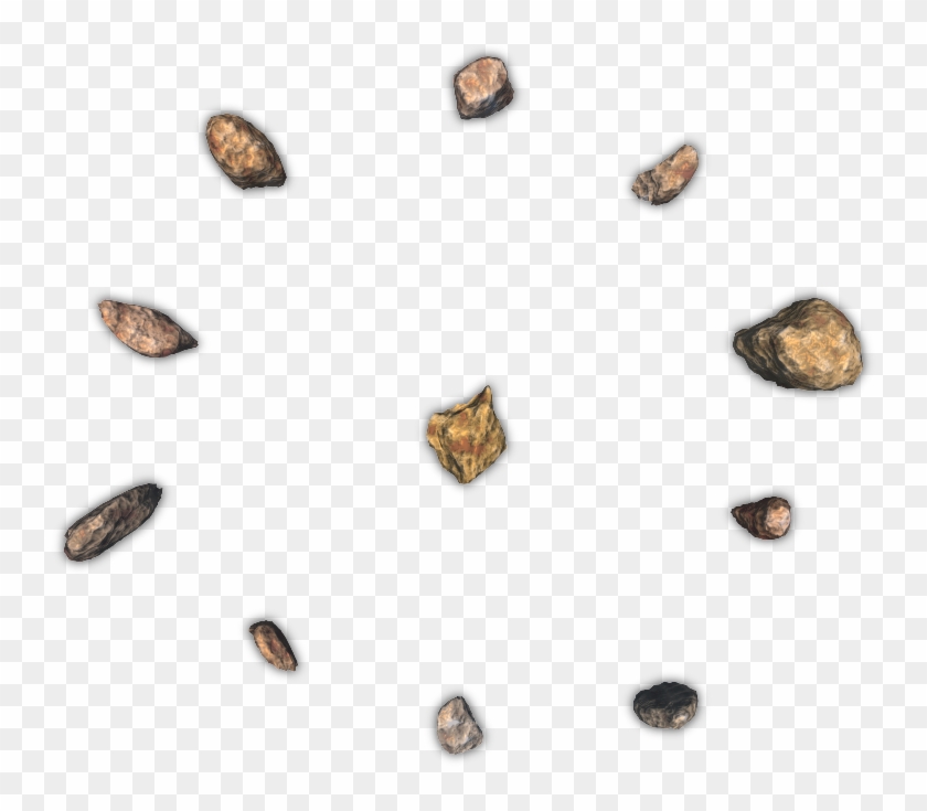 24 Mar 2009 - Molluscs Clipart