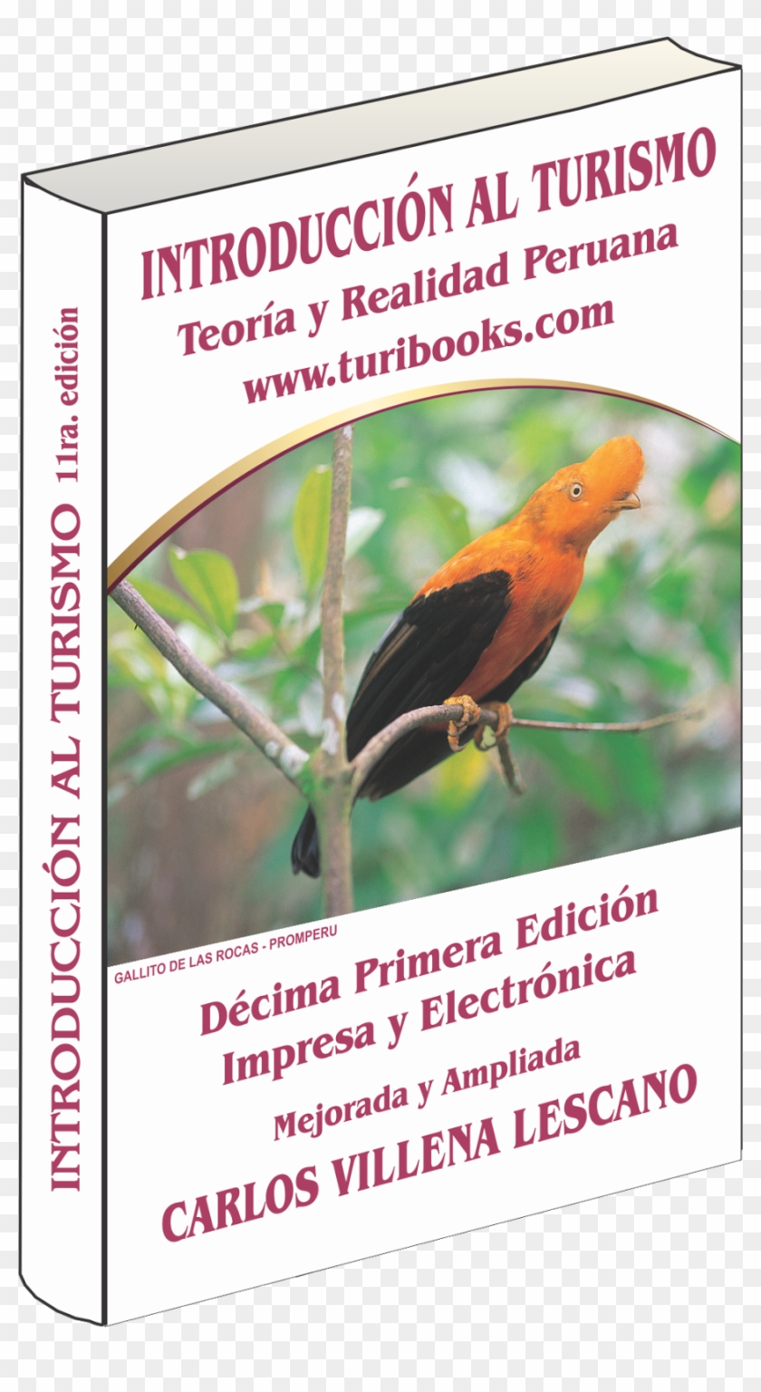 Introducción Al Turismo - Flyer Clipart