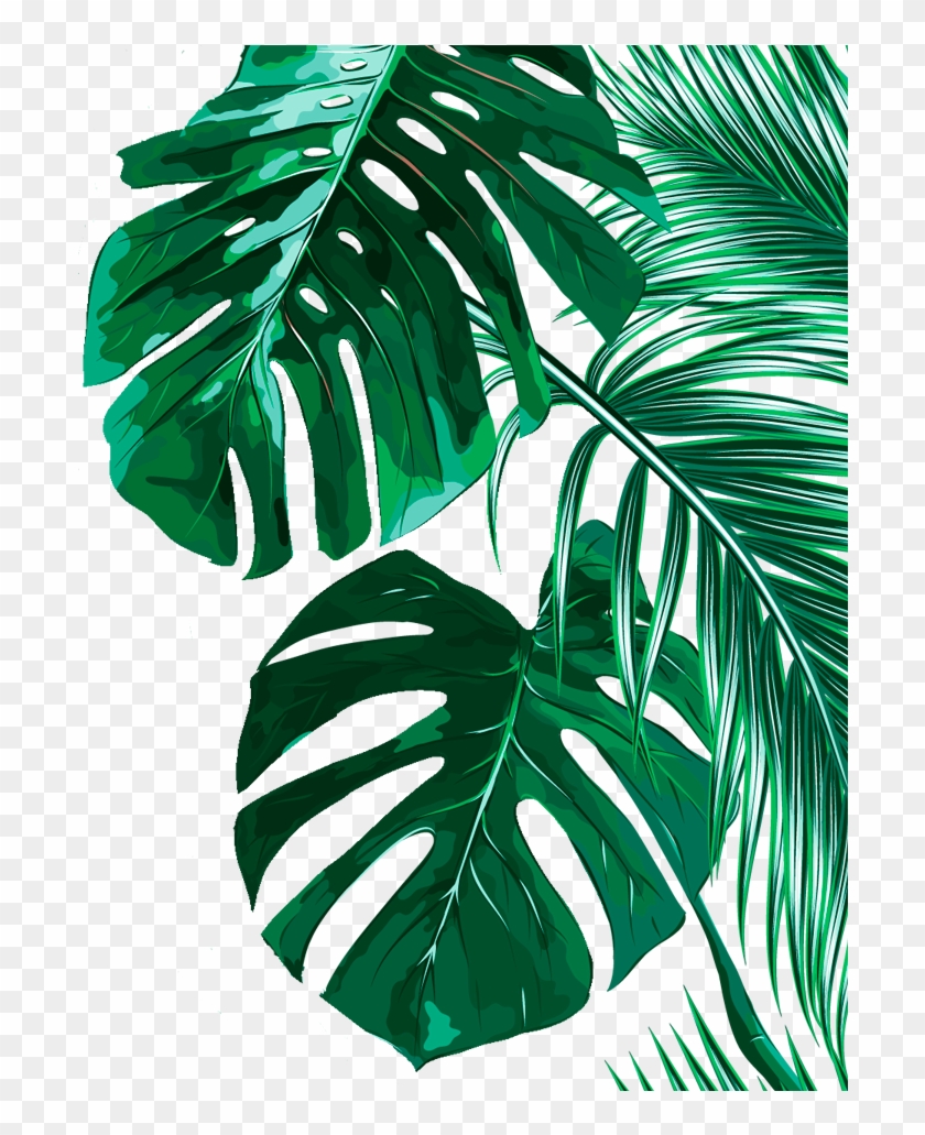 Tropical Banana Leaves Background Clipart