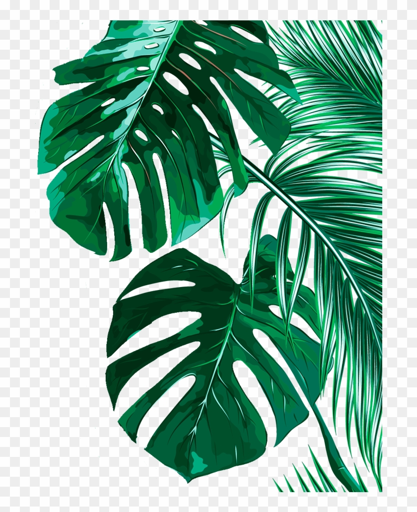 Tropical Banana Leaves Background Clipart #5372851