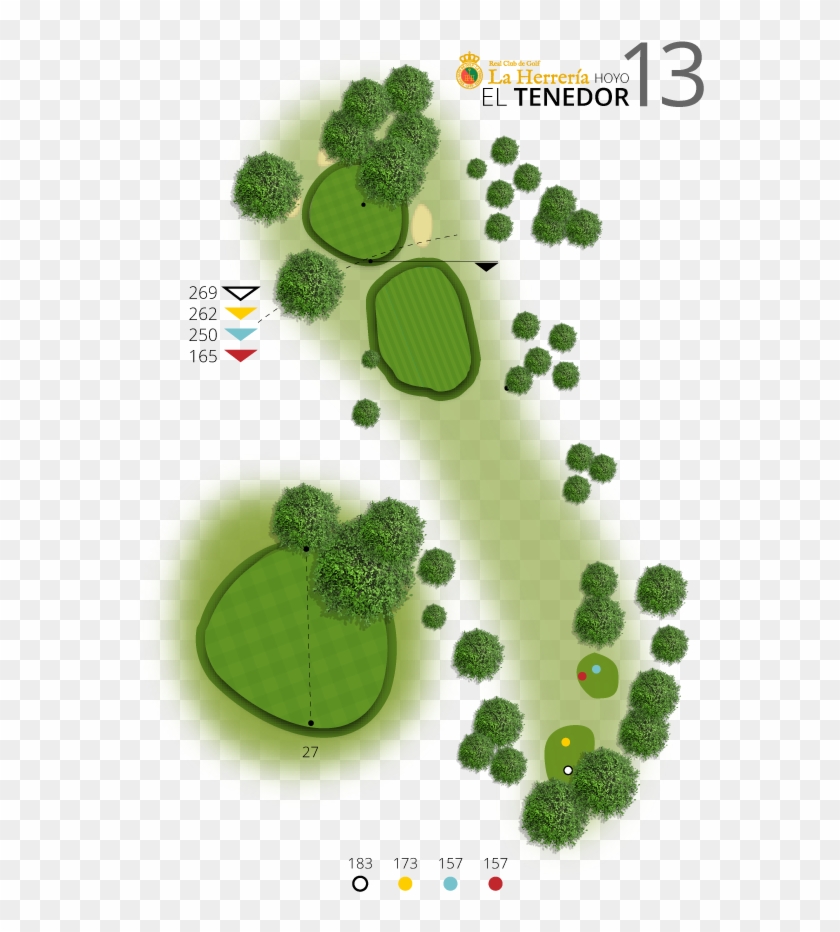 Hoyo 13 - Grass Clipart