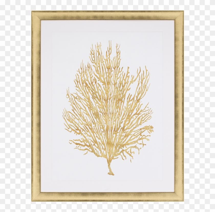 Sea Life V - Picture Frame Clipart