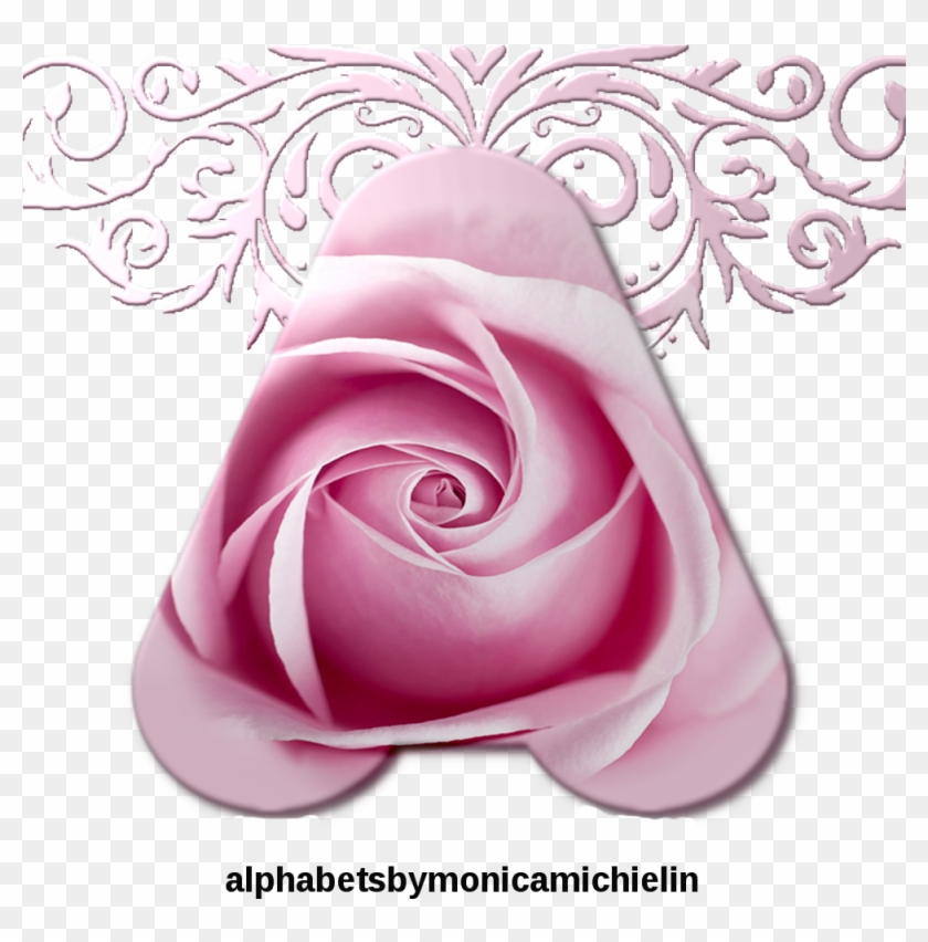 Alfabeto Rosa E Ornamento Png, Pink Rose Ornament Png - 高清 粉色 素材 Clipart