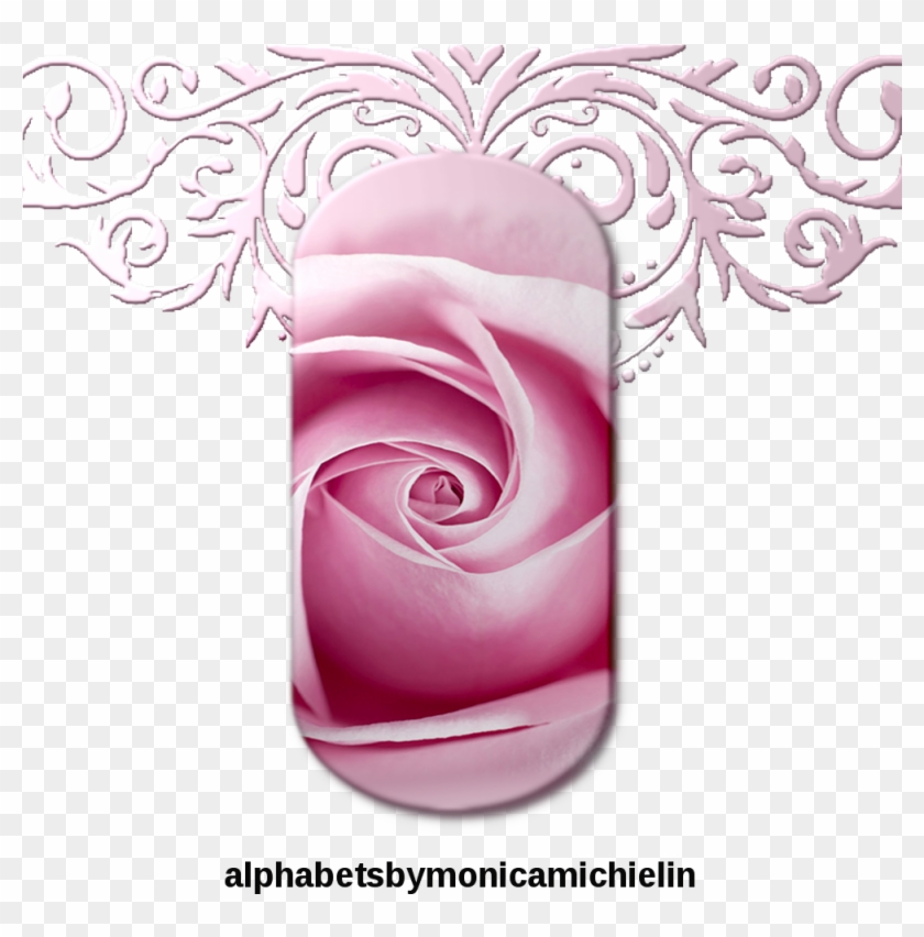 Alfabeto Rosa E Ornamento Png, Pink Rose Ornament Png - Illustration Clipart #5373887