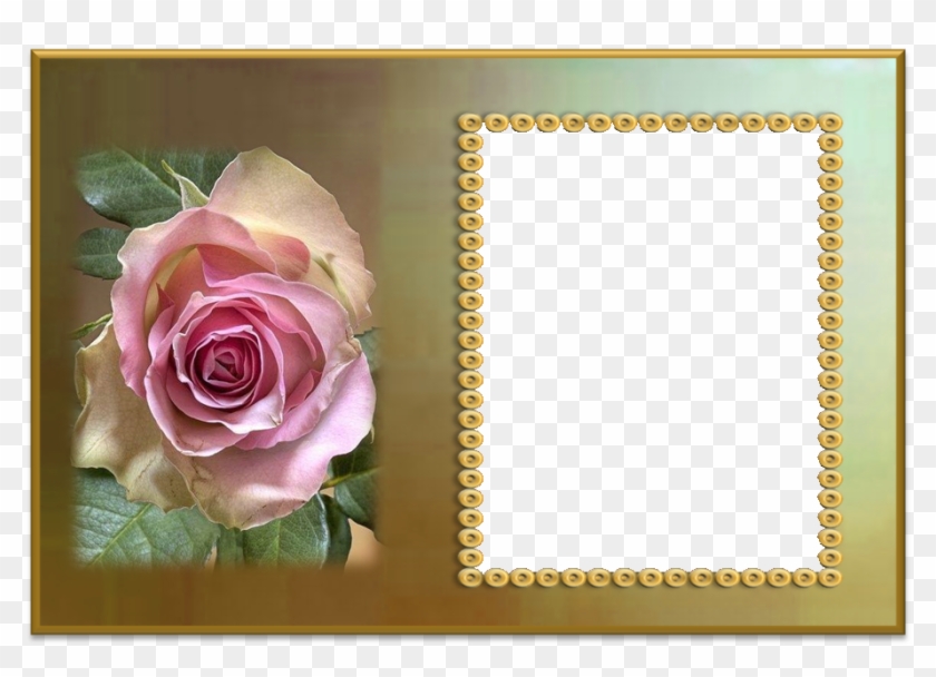 Molduras Para Fotos Com Flores Trabalho De Terezinha - Buona Domenica Fiori Gif Clipart #5374194