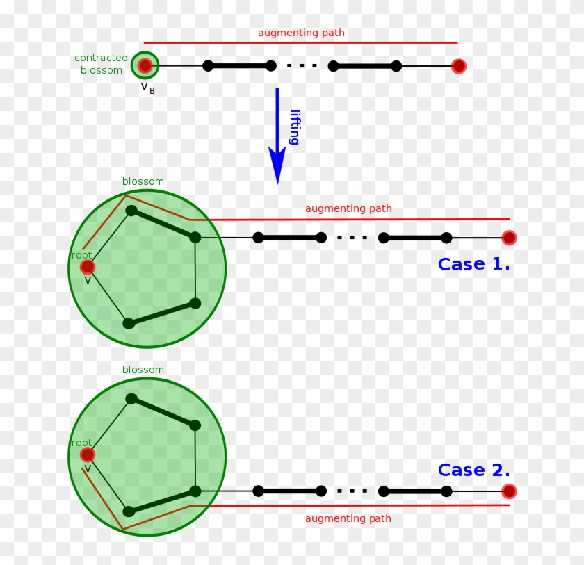 Edmonds Lifting End Point - Edmonds Blossom Algorithm Clipart