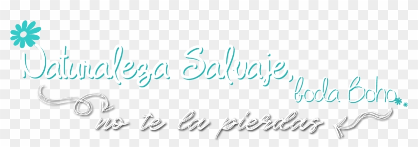 Todo Lo Que Necesitas Para Tu Boda En Málaga - Calligraphy Clipart #5374534