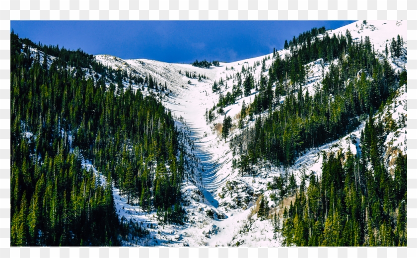 Score 50% - Snow Clipart