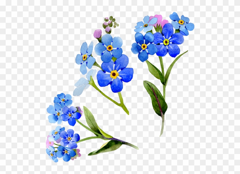 Wildflower Vector Watercolor - Blue Flower Frame Png Clipart