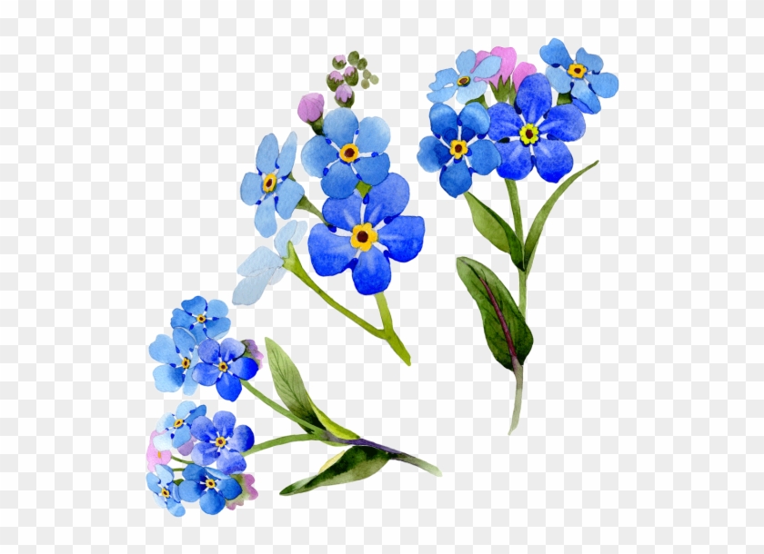Wildflower Vector Watercolor - Blue Flower Frame Png Clipart #5375065