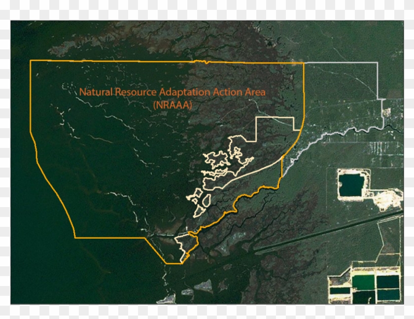 The Uf Law Conservation Clinic's Innovative Use Of Clipart