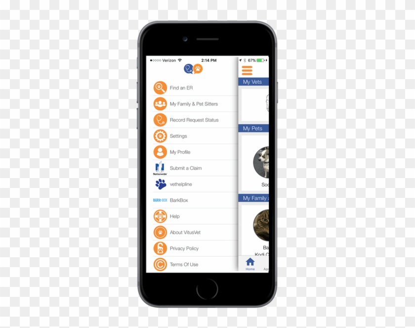 Vitusvet Pet Medical Records Clipart