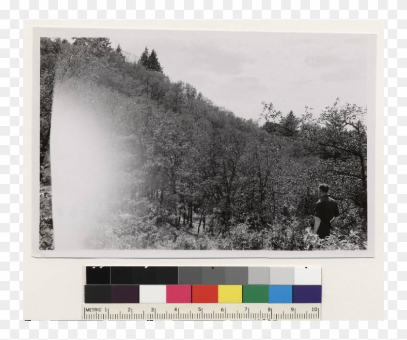 Two Miles South Of Hoaglin On Zenia Covelo Road - Photograph Clipart #5381258