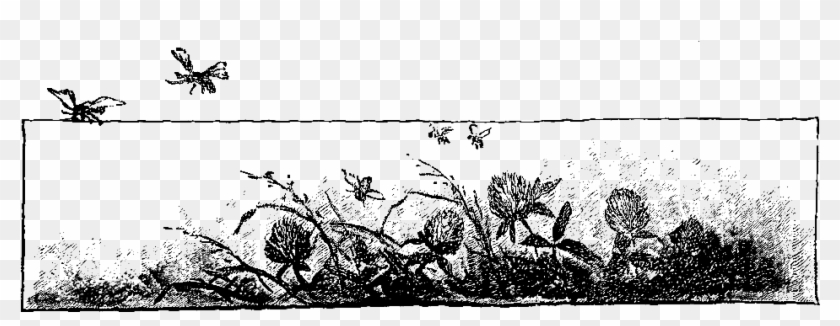 Digital Frame Border Downloads - Illustration Clipart