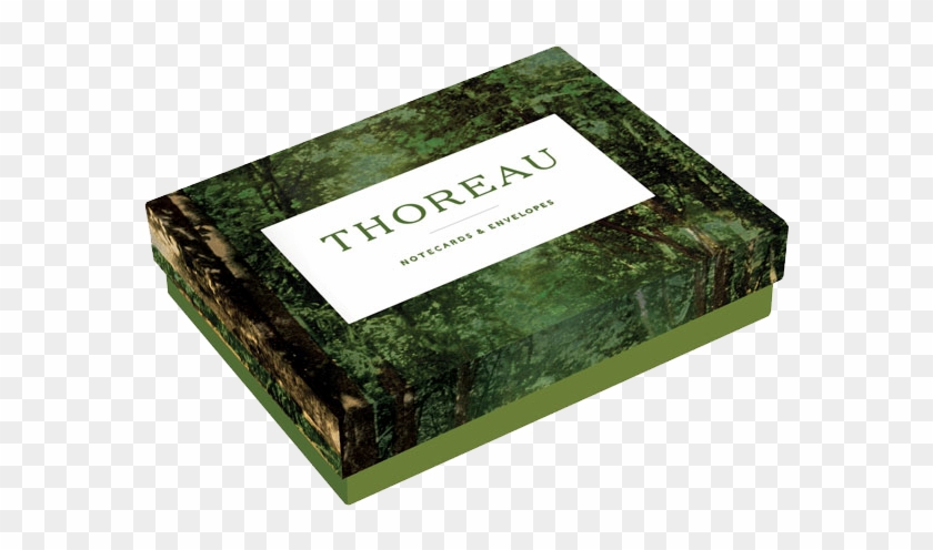 Thoreau Notecards - Grass Clipart