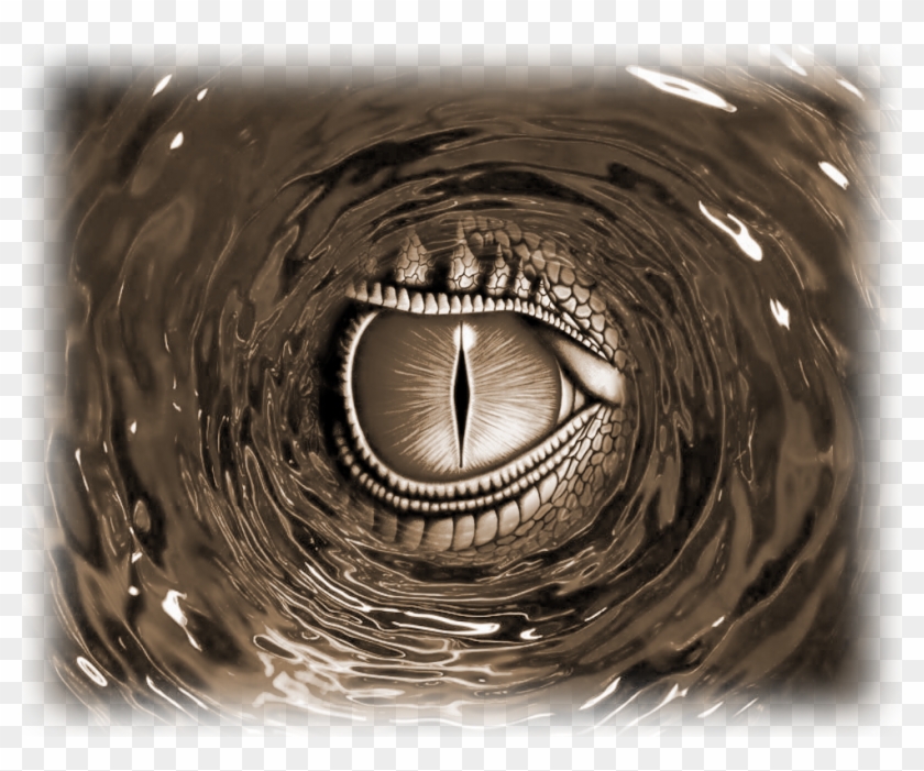 Dragon Eye Whirlpool Brown - Pap3l De Parede Para Celular 3d Clipart