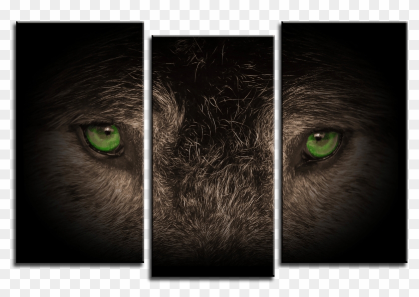 Wolf Eyes 3 Panel Canvas Print 075-01 - Black Cat Clipart