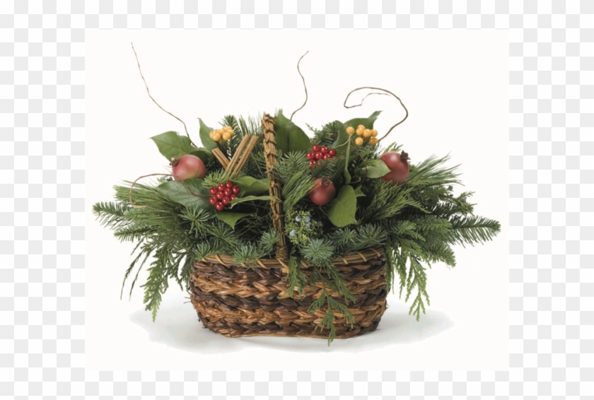 Rose Clipart #5383936