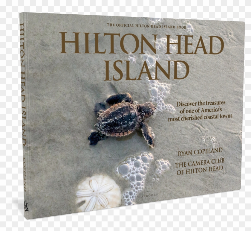 Snapping Turtle Png - Leatherback Sea Turtle Clipart