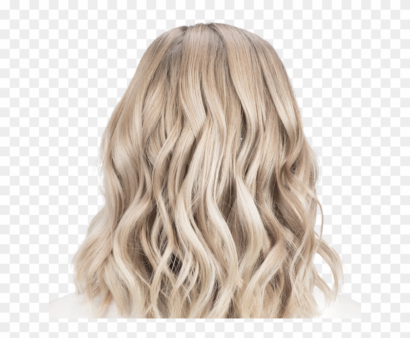 11aa Lightest Ash Blonde With Smokey Undertones - Blonde Hair From Back Clipart