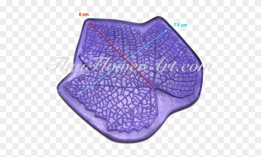 Coin Purse Clipart #5389962