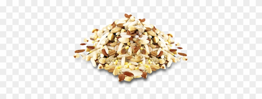 Sugar Free 10 Grains Biscuits - Seed Clipart #5390158