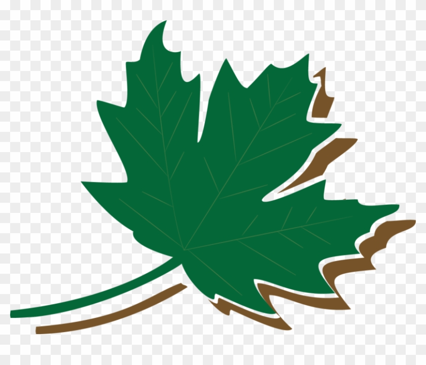 Pageants - Maple Leaf Clipart #5390162