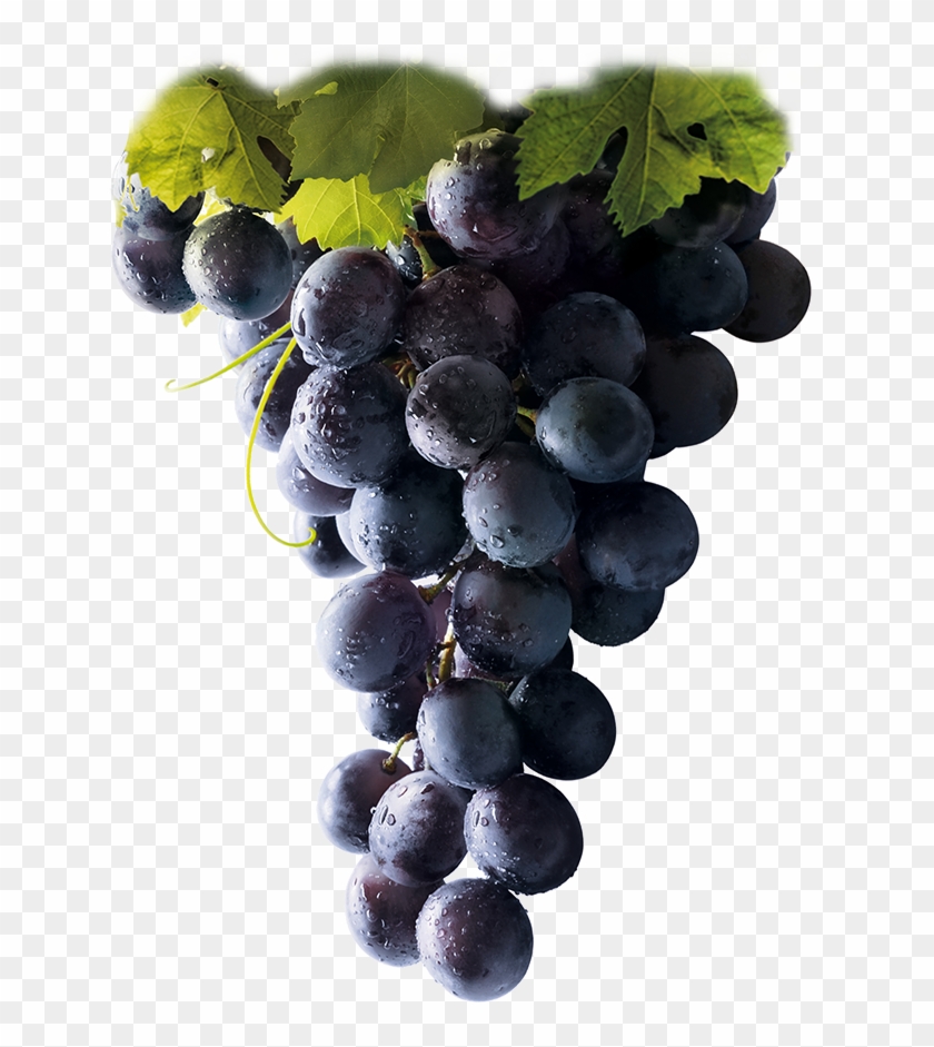 Thumb Image - Red Grapes Clipart