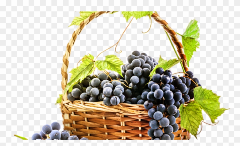Cesta De Uva Png Clipart