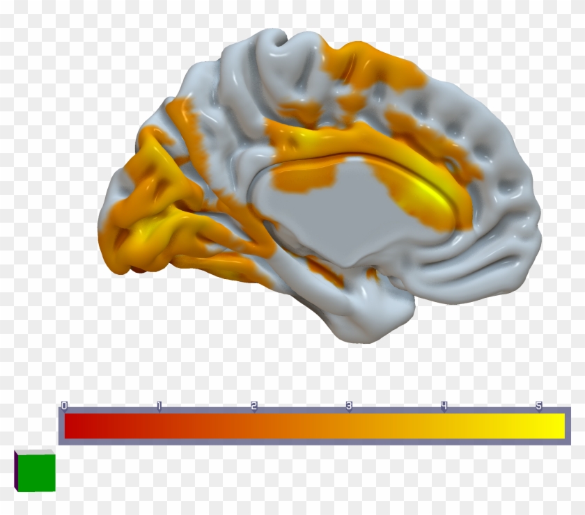 Contrast Surfice , Download Clipart