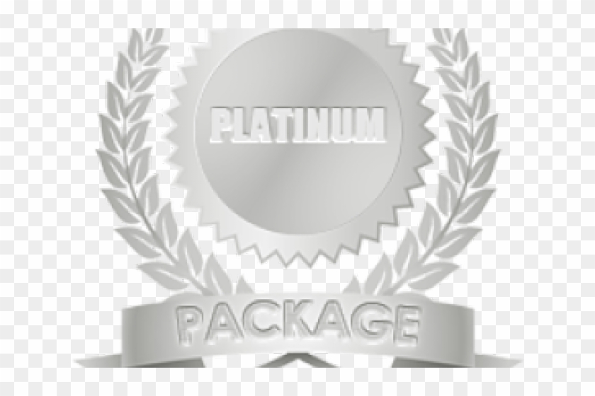 Medal Clipart Platinum Medal - Silver Package - Png Download #5393423