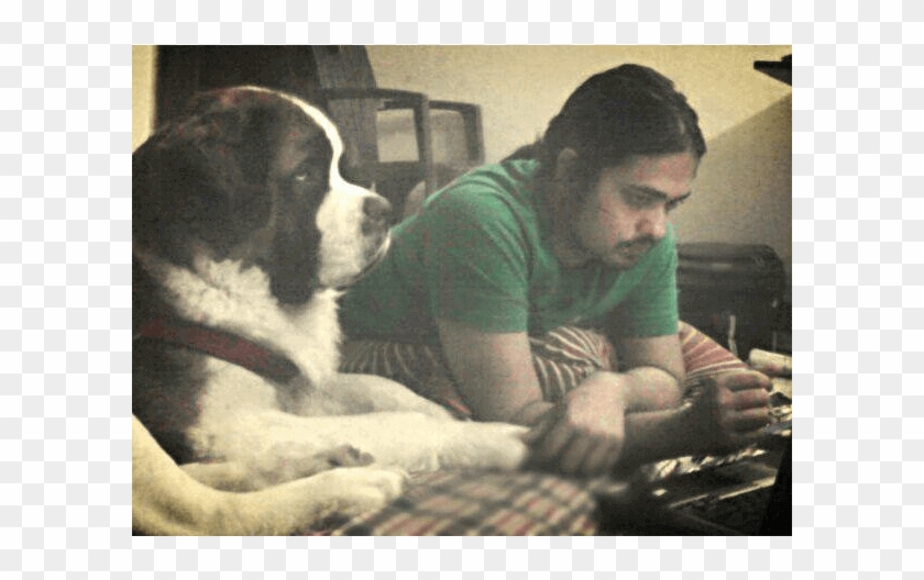 Abhishek Singh - St. Bernard Clipart