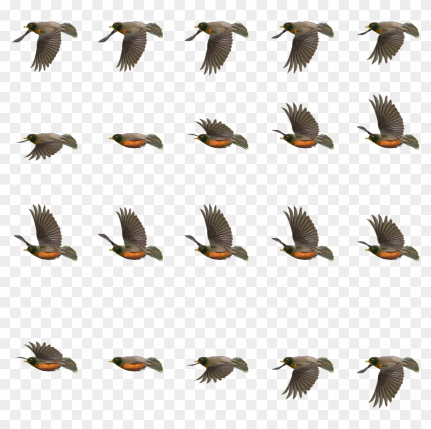 Game Dev, New Artists, Drawing Tips, Pigeon, Game Design, - Bird Flying Flip Book Clipart