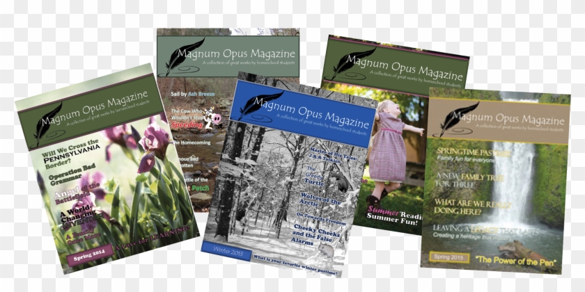 Subscribe Today Magazines 2 Png - Flyer Clipart #5395447